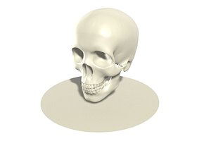skull head 3D model