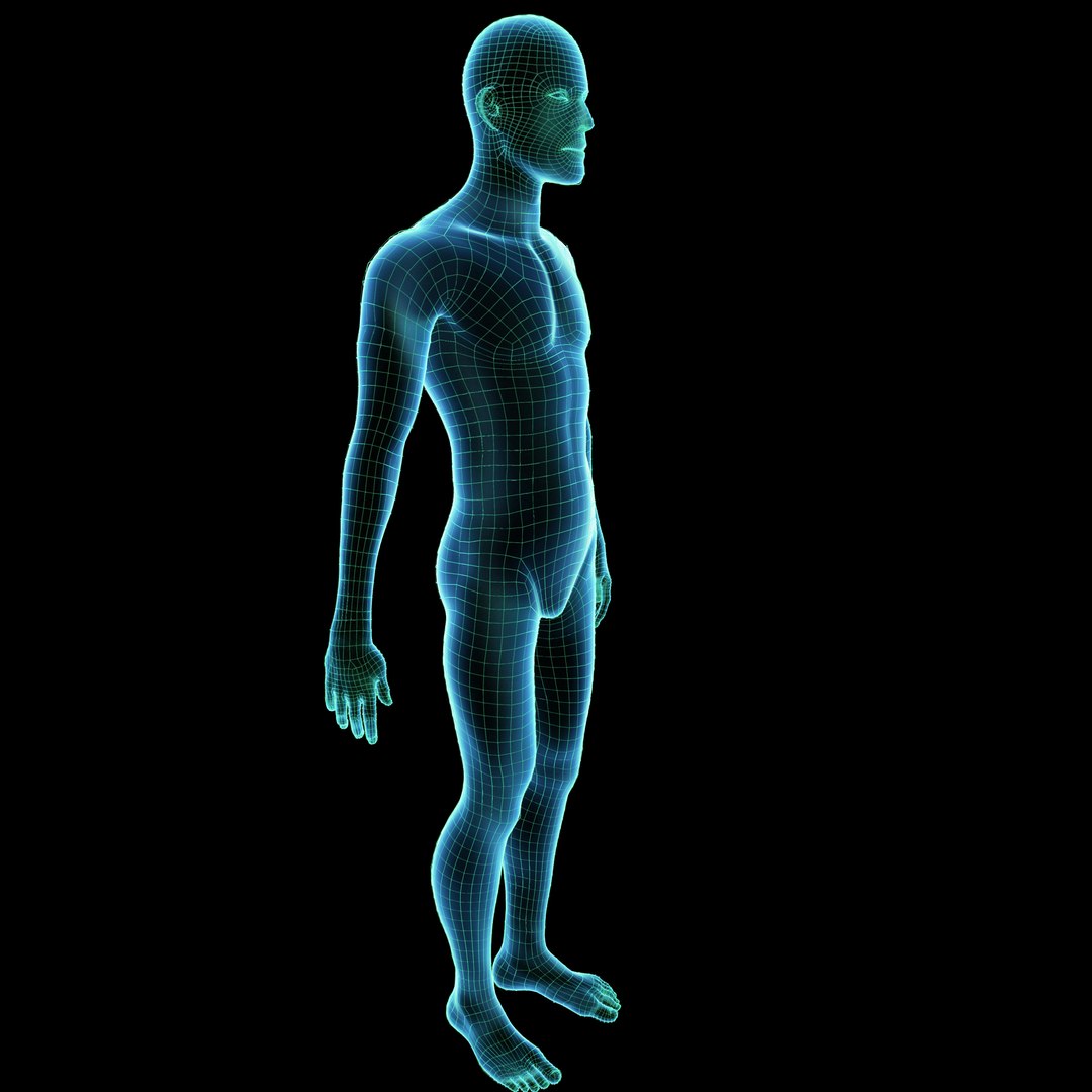 3D Human Hologram Male https://p.turbosquid.com/ts-thumb/vC/c3PABF/Hh/hologramhuman8/jpg/1653499066/1920x1080/fit_q87/43b36b43df72a2a67cb8d8c5a19d9b93fa7054c8/hologramhuman8.jpg