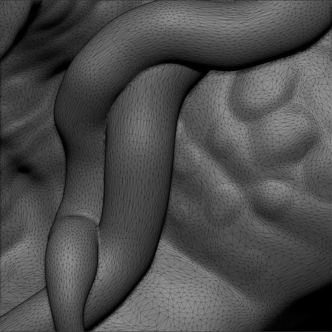 free obj model predator bust sculpture https://p.turbosquid.com/ts-thumb/vC/nim15A/RmyWjN9P/preview1/jpg/1348595652/1920x1080/fit_q87/37e6832ba6d3ac4284b0e85a0a02a0479bd1363a/preview1.jpg