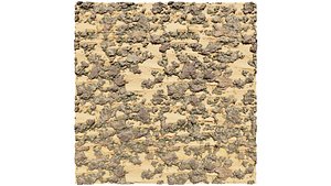 Tileable Rocky And Sandy Beach  Desert Terrain 3D Model 3D model