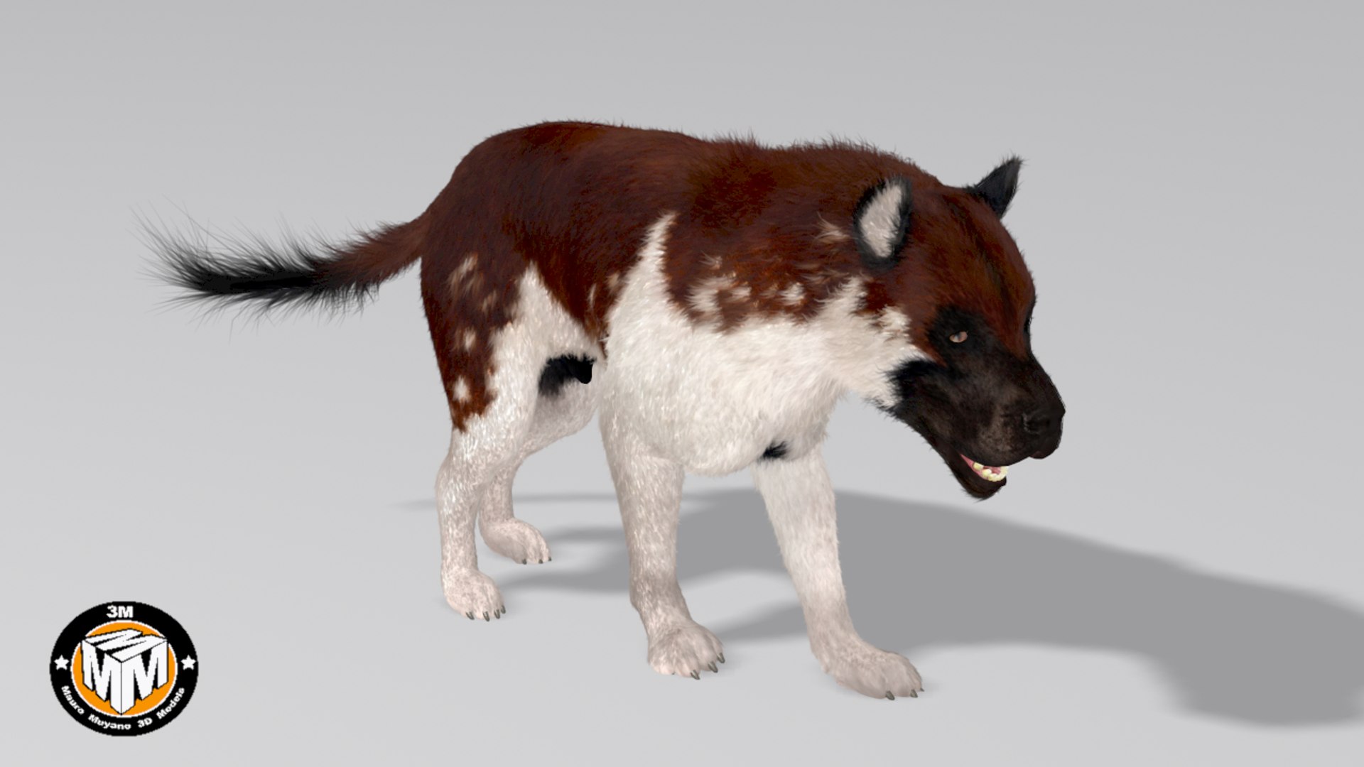 3D Protocyon Extinct Canid TurboSquid 1277365