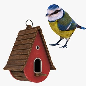 Bird House and Blue Tit Collection 3D