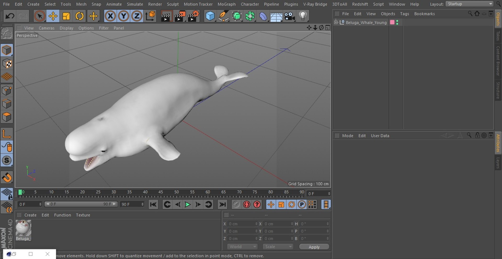3D Beluga Whale Young https://p.turbosquid.com/ts-thumb/vD/R40tFV/QE/belugawhaleyoung3dsmodel039/jpg/1676378956/1920x1080/fit_q87/003d2c040bc27f90c9a9f7d3d3aac793aa604388/belugawhaleyoung3dsmodel039.jpg