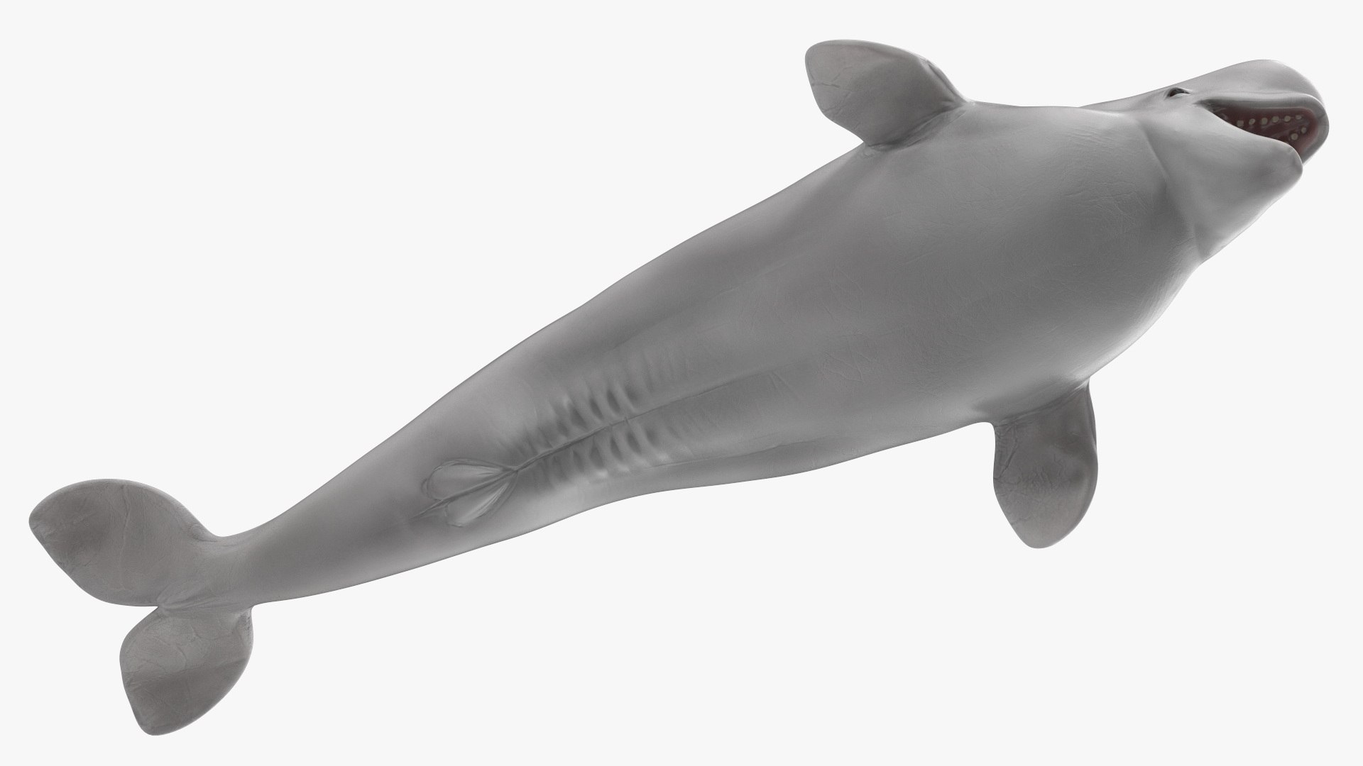 3D Beluga Whale Young https://p.turbosquid.com/ts-thumb/vD/R40tFV/Y1/belugawhaleyoung3dsmodel016/jpg/1676378916/1920x1080/fit_q87/11eb36c0c01c66d057e3abf4a1f666ce2077e278/belugawhaleyoung3dsmodel016.jpg