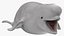Baleia beluga jovem