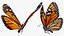 Vol animé Monarch Butterfly truqué pour Maya