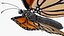 Vol animé Monarch Butterfly truqué pour Maya