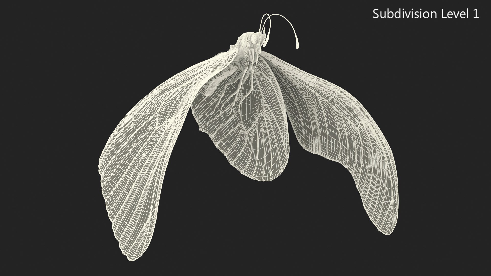 flight monarch butterfly flying 3D https://p.turbosquid.com/ts-thumb/vD/X4AoNh/8Q6bL4YR/animatedflightmonarchbutterflyriggedc4dmodel012/jpg/1573180797/1920x1080/fit_q87/8352068c1e2aa471bd679332007cd7ce92527a6a/animatedflightmonarchbutterflyriggedc4dmodel012.jpg