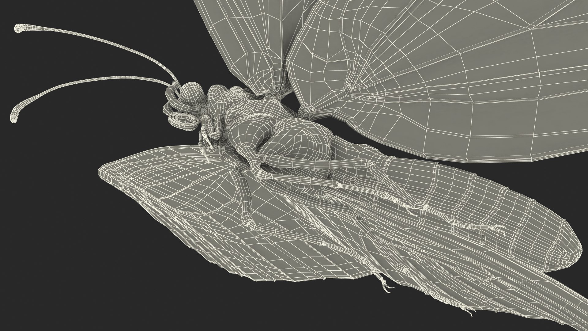 flight monarch butterfly flying 3D https://p.turbosquid.com/ts-thumb/vD/X4AoNh/J2FMFu1T/animatedflightmonarchbutterflyriggedc4dmodel018/jpg/1573180828/1920x1080/fit_q87/9b3a8d5798cd8c1cf190a3201efc26909c294e6a/animatedflightmonarchbutterflyriggedc4dmodel018.jpg