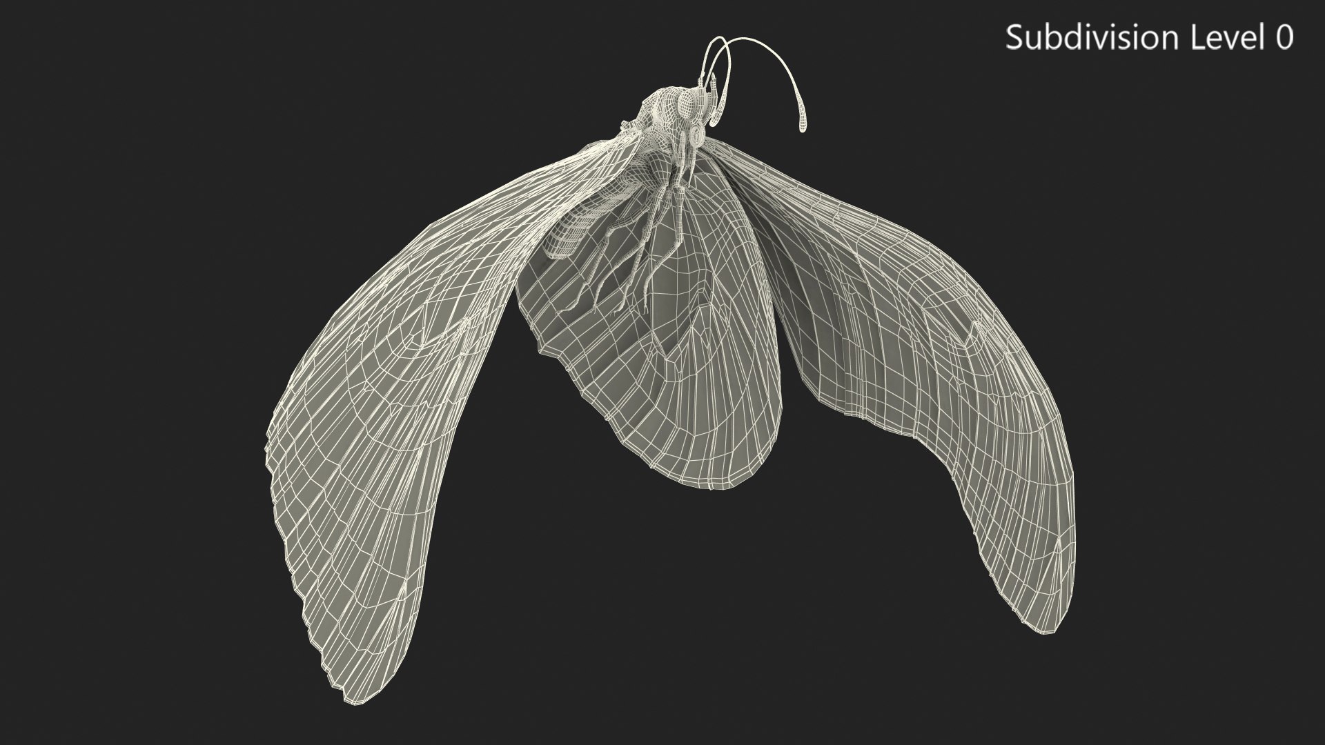 flight monarch butterfly flying 3D https://p.turbosquid.com/ts-thumb/vD/X4AoNh/JGk1XPMk/animatedflightmonarchbutterflyriggedc4dmodel011/jpg/1573180793/1920x1080/fit_q87/5c1de987eee755ff39f44489e4459c10fa753510/animatedflightmonarchbutterflyriggedc4dmodel011.jpg