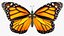 Vol animé Monarch Butterfly truqué pour Maya