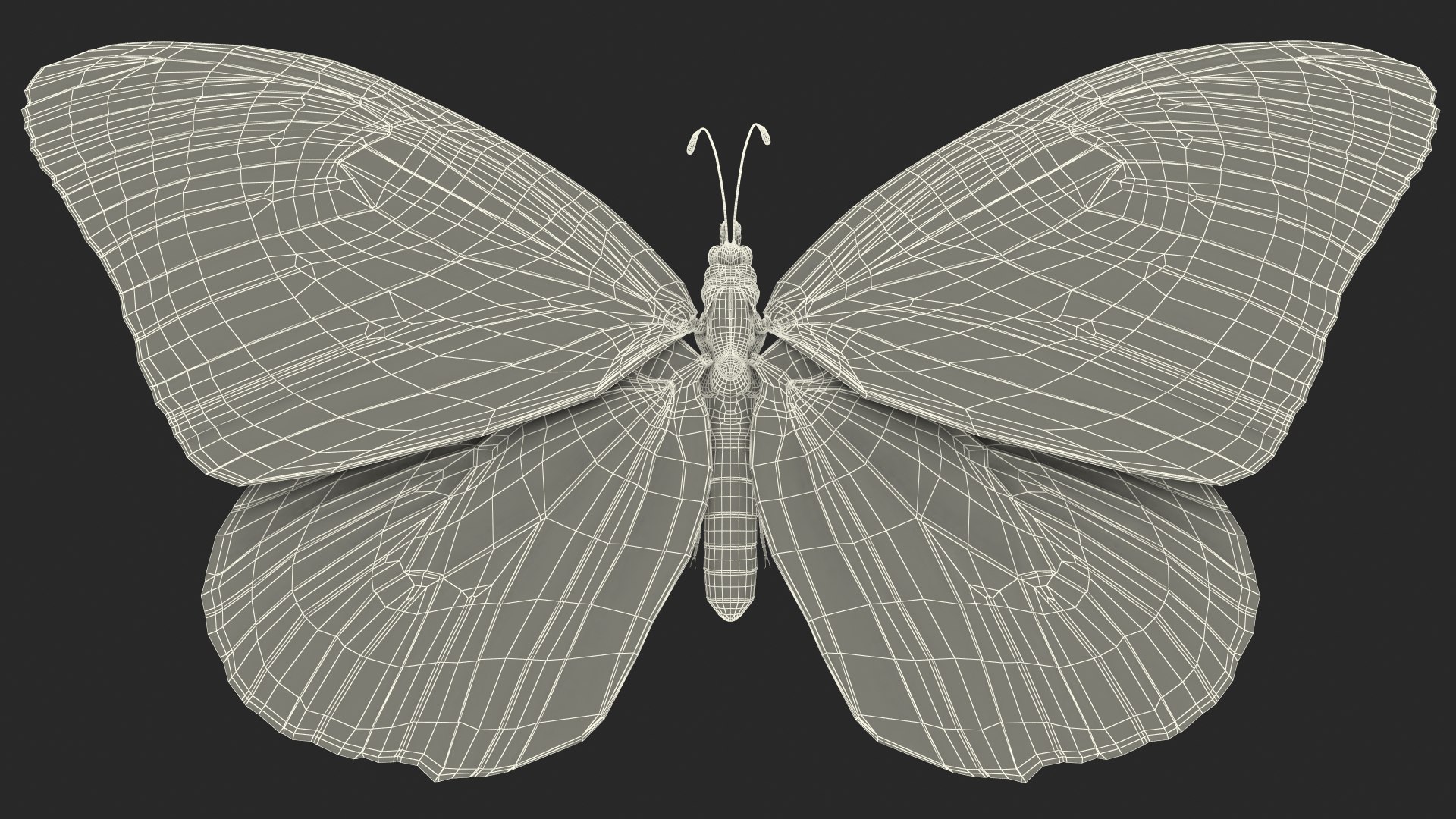 flight monarch butterfly flying 3D https://p.turbosquid.com/ts-thumb/vD/X4AoNh/z5CCX0Tr/animatedflightmonarchbutterflyriggedc4dmodel017/jpg/1573180823/1920x1080/fit_q87/e068fd846df47d771129ddc169d6638e9cbf12d2/animatedflightmonarchbutterflyriggedc4dmodel017.jpg