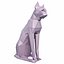 Cat Low Poly 9