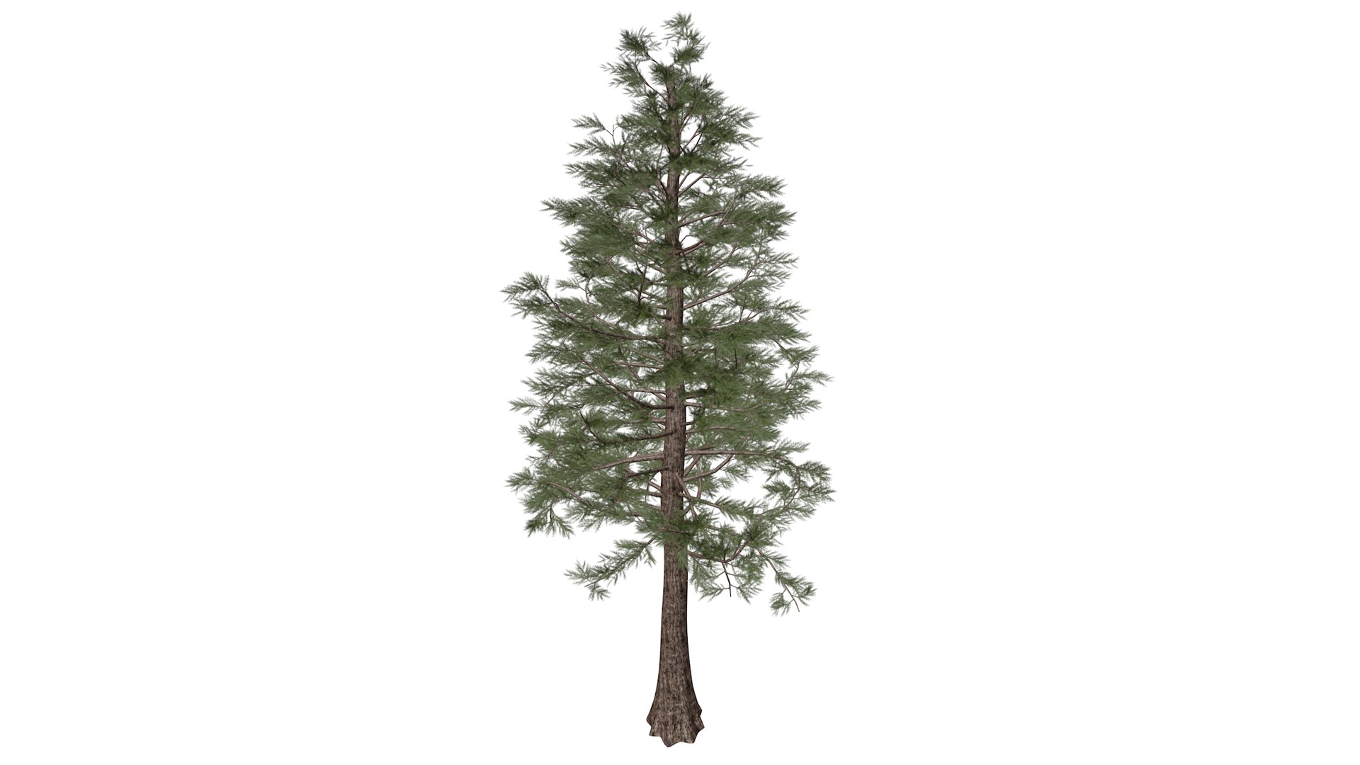 Western Red Cedar Tree Collection 3D https://p.turbosquid.com/ts-thumb/vD/nRhVrT/bb/westernredcedar_high30/png/1779223154/1920x1080/fit_q87/8d9c86fb2b551cf8c1b968f59cbfe727c8914843/westernredcedar_high30.jpg