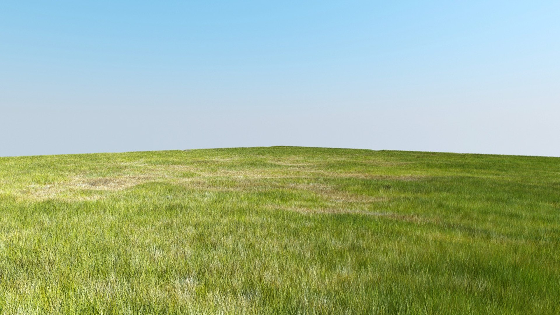 3d grass photoreal garden https://p.turbosquid.com/ts-thumb/vD/q7Q9XT/DP46OjtS/grass_v1/jpg/1276724917/1920x1080/fit_q87/55dc94a3ec88e835cce7a92876a41e14a0544f20/grass_v1.jpg
