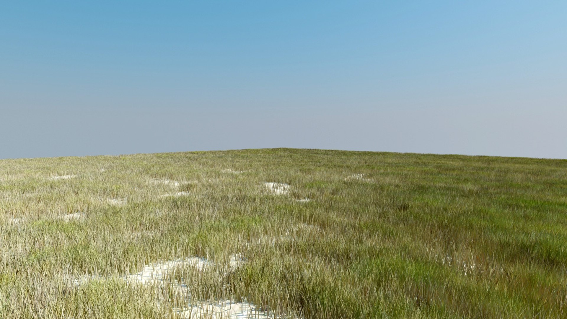 3d grass photoreal garden https://p.turbosquid.com/ts-thumb/vD/q7Q9XT/k1zjdzRI/grass_v3/jpg/1276724917/1920x1080/fit_q87/d0d8b7c902f23a5ae5a203dcc01e740fd6fb6949/grass_v3.jpg