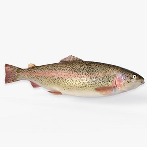 Trout Animated 3D model