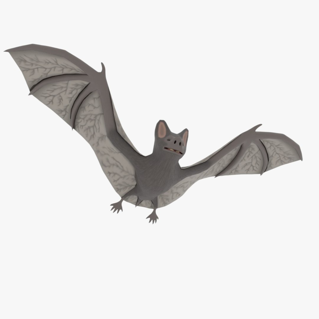 3D Low Poly Bat Model Rigged And Animated - TurboSquid 2574438