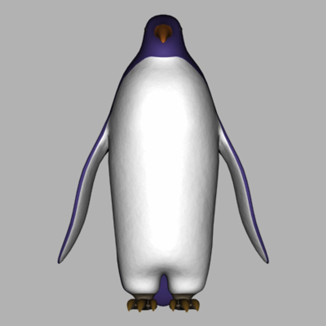 3d Model Penguin