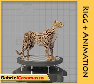 cheetah acinonyx jubatus 3d model
