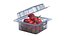 Fruit Box Plastic Transparent Rosehip