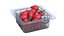 Fruit Box Plastic Transparent Rosehip