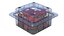 Fruit Box Plastic Transparent Rosehip