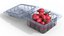 Fruit Box Plastic Transparent Rosehip