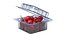 Fruit Box Plastic Transparent Rosehip