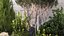 Crespino topiaria da giardino cipresso tuia pino 1397