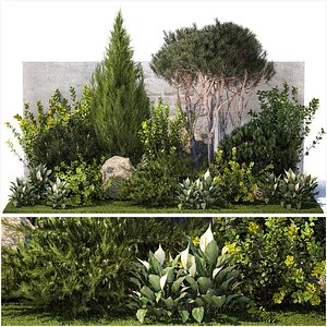 3D Garden cypress thuja pine topiary barberry 1397 model