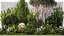Crespino topiaria da giardino cipresso tuia pino 1397