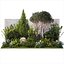Crespino topiaria da giardino cipresso tuia pino 1397
