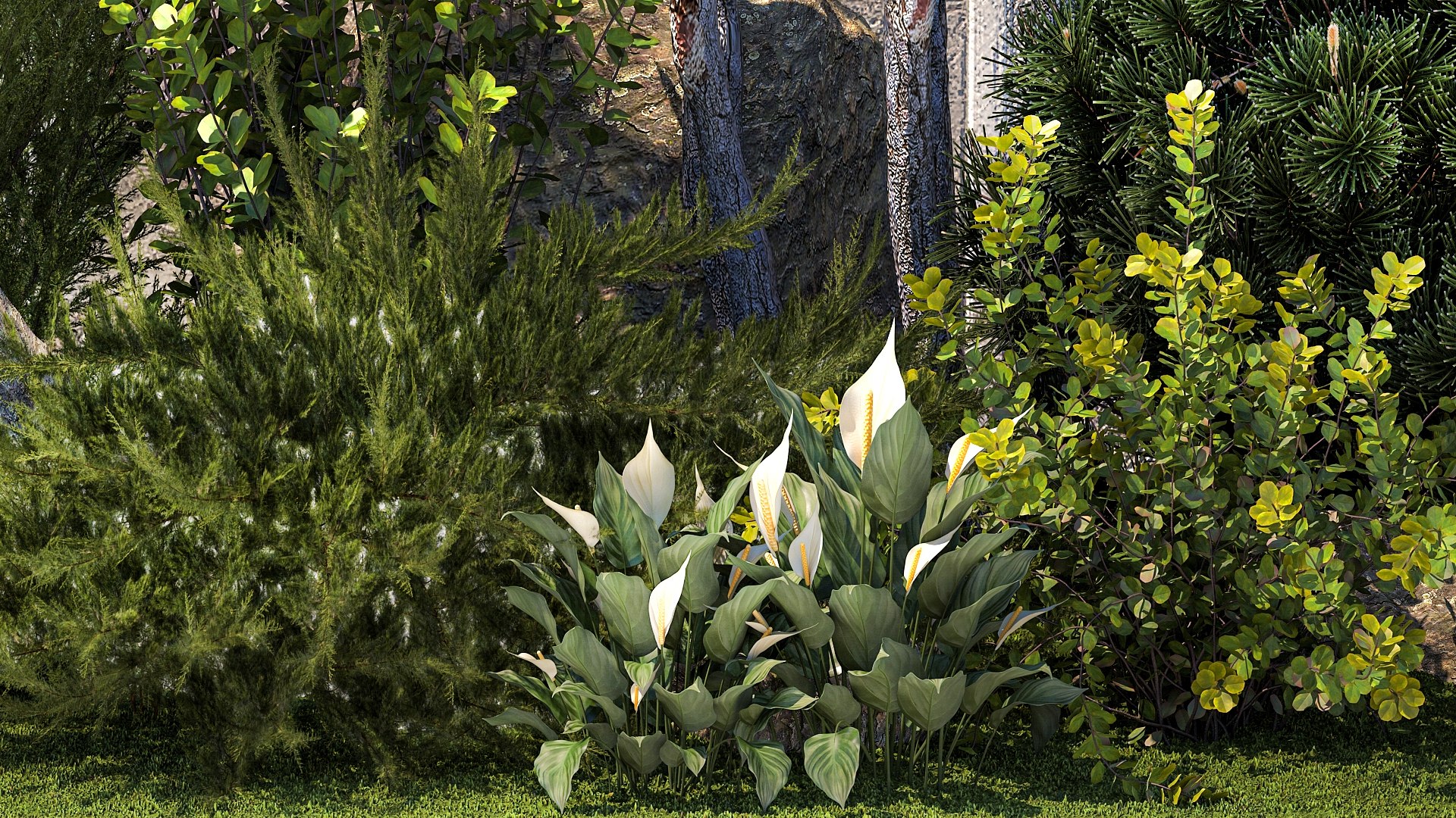 3D Garden cypress thuja pine topiary barberry 1397 model https://p.turbosquid.com/ts-thumb/vE/PsOeJh/oD/1garden1409202307/jpg/1694695608/1920x1080/fit_q87/740ff56d3e9e3d23c917b226fbab3eec67d1e9f4/1garden1409202307.jpg