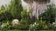 Crespino topiaria da giardino cipresso tuia pino 1397