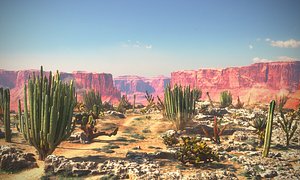 3D Arizona Desert