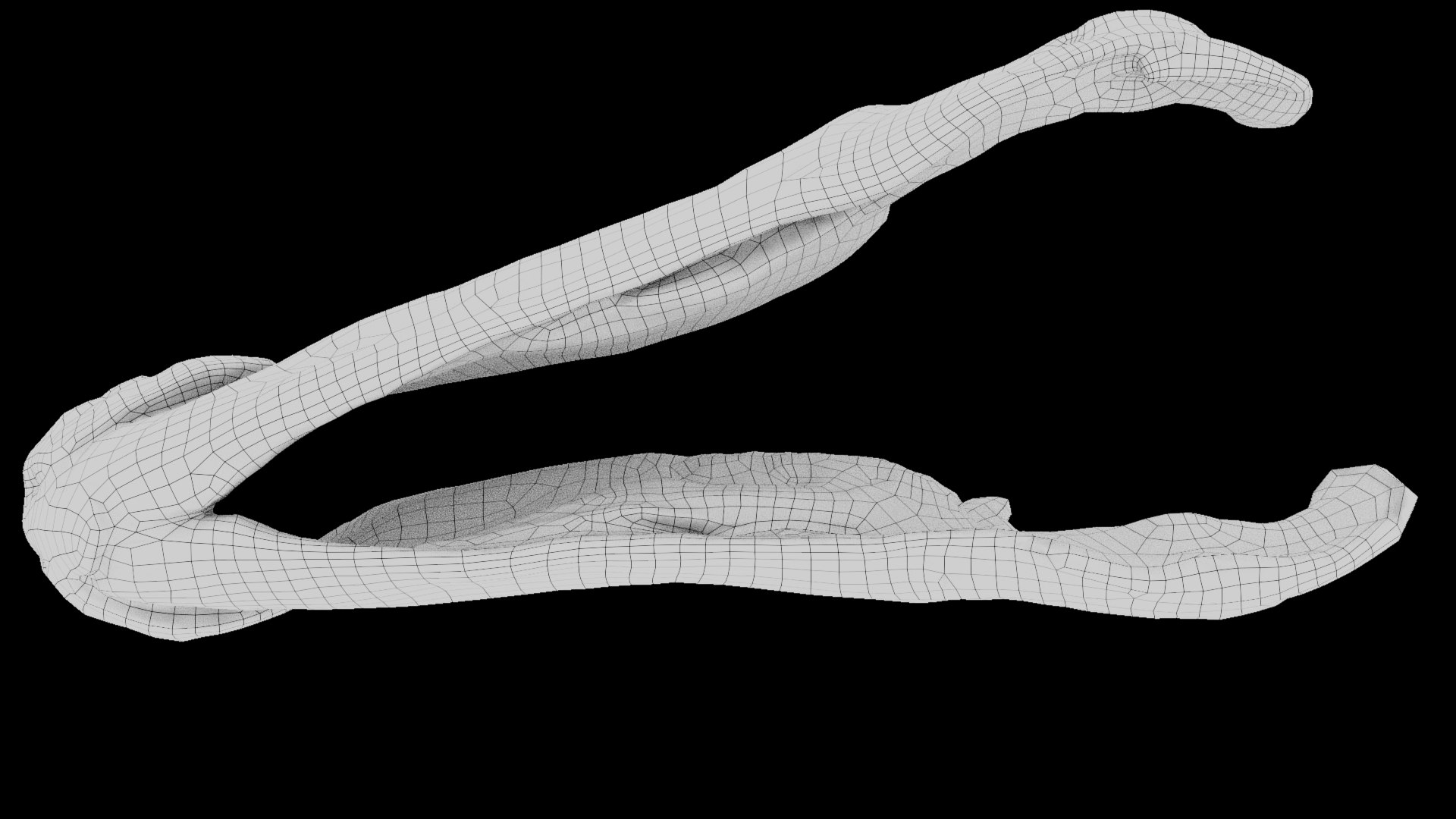 3D Sirindhorna skull 3d model TurboSquid 1970086