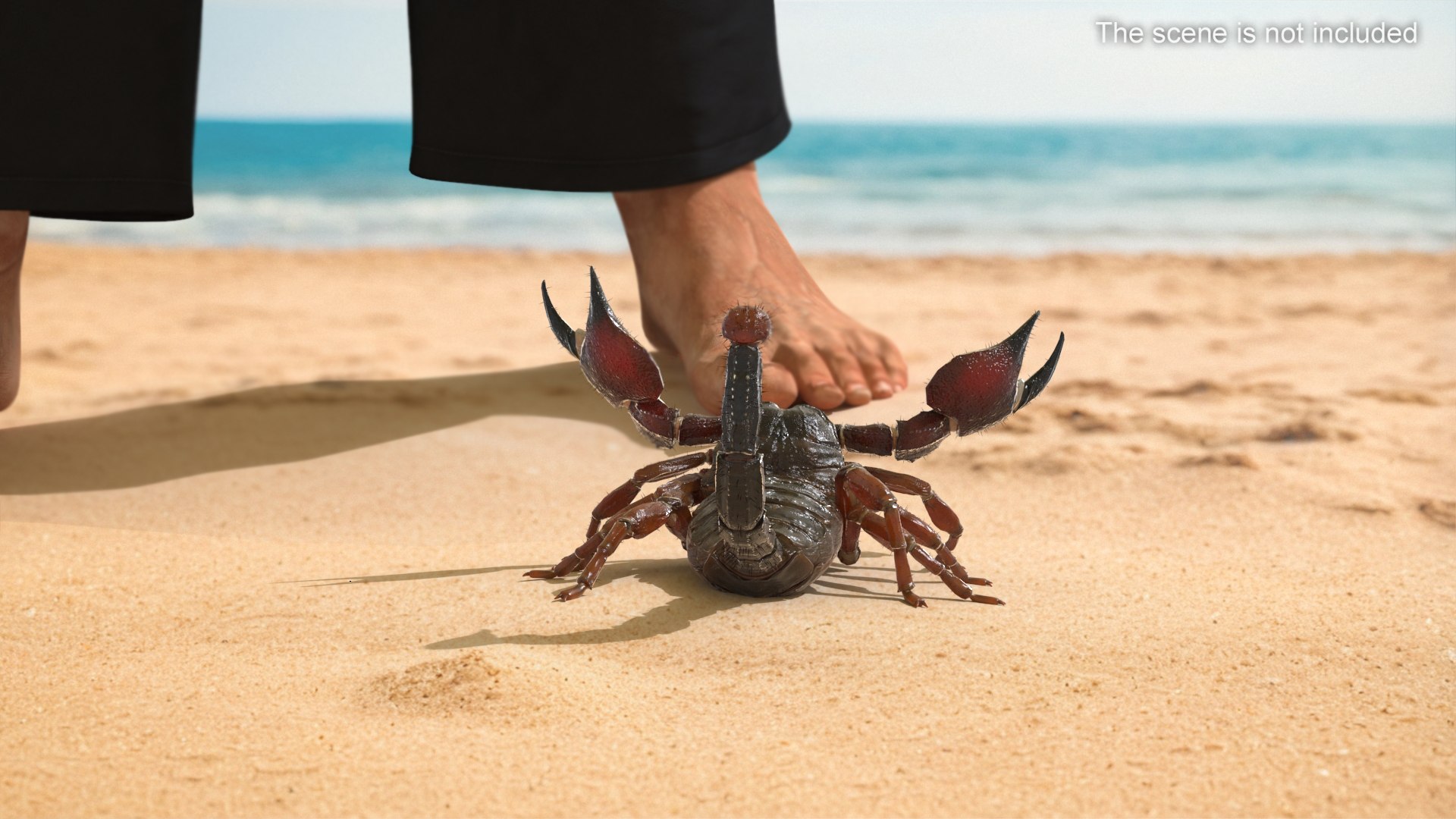 3D Realistic Scorpion Fur Animated Rigged for Cinema 4D Collection https://p.turbosquid.com/ts-thumb/vE/aqB6mA/3l/walking_scorpion_fur_animated_rigged_002/jpg/1789631430/1920x1080/fit_q87/d94239b25ef663d06933b03c21b2e6df2babebd1/walking_scorpion_fur_animated_rigged_002.jpg