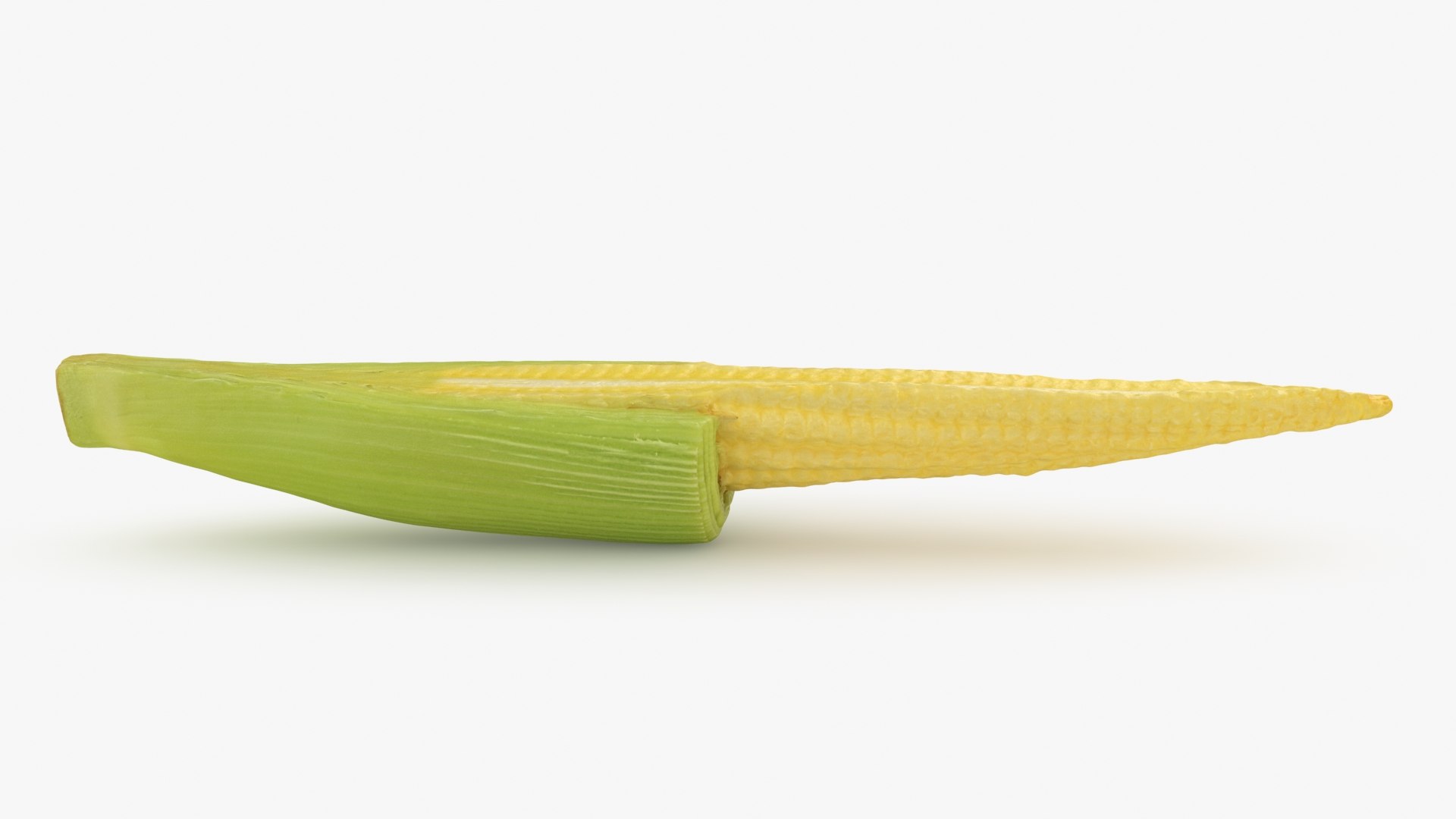 3D Half of Baby Corn model - TurboSquid 2157003