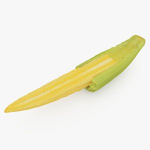 3D Half of Baby Corn model