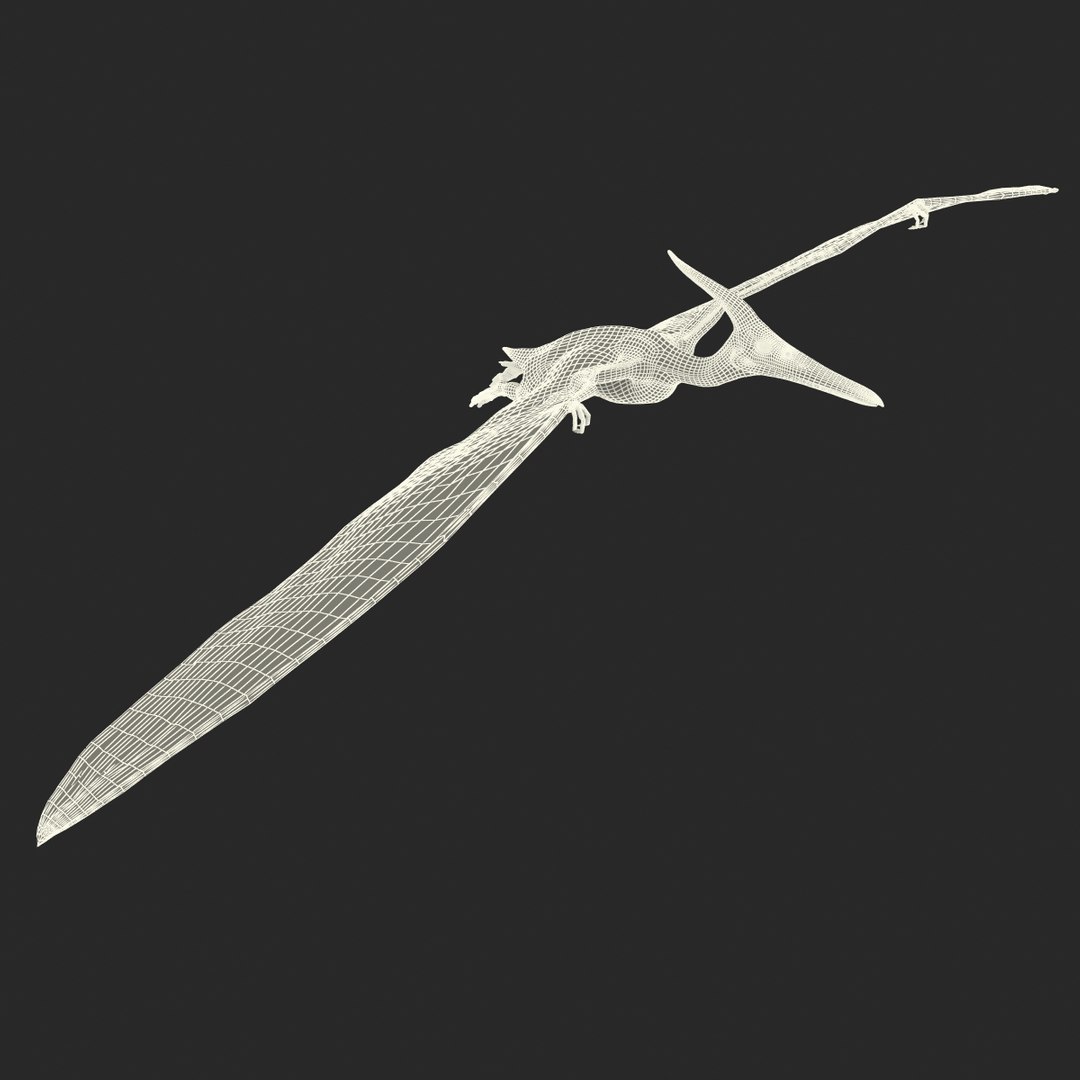 3d 1 model https://p.turbosquid.com/ts-thumb/vE/krpaeX/7nmyZq9O/pterodactylpose1_22/jpg/1405005612/1920x1080/fit_q87/b08afa110eb37964e366802b10867119372db5fd/pterodactylpose1_22.jpg