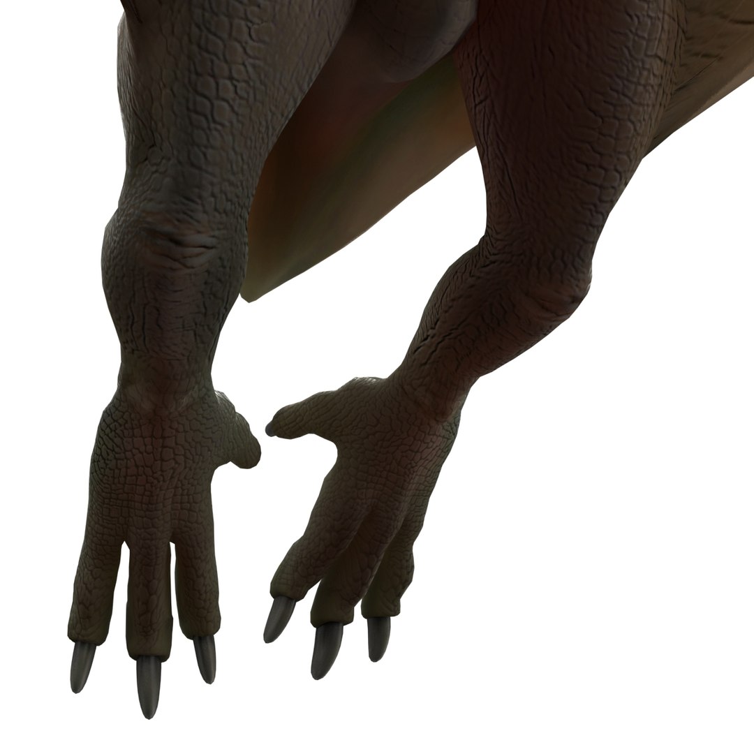 3d 1 model https://p.turbosquid.com/ts-thumb/vE/krpaeX/8CmqDkg6/pterodactylpose1_16/jpg/1405005607/1920x1080/fit_q87/0cedbfeb5a7b17eb45dbb2263d7a76d5db6c1e83/pterodactylpose1_16.jpg