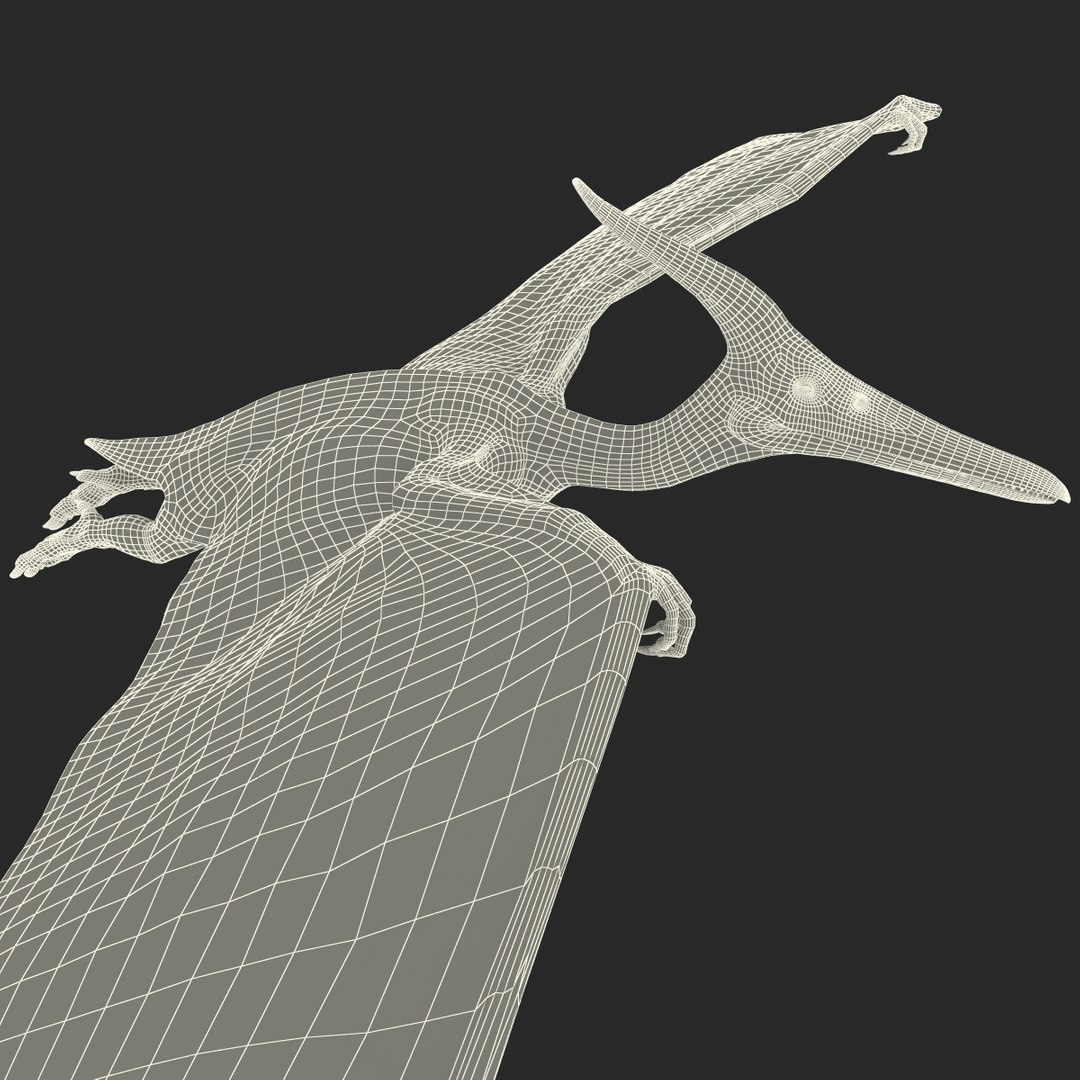 3d 1 model https://p.turbosquid.com/ts-thumb/vE/krpaeX/8TaTxwjh/pterodactylpose1_31/jpg/1405005661/1920x1080/fit_q87/4e16fffc29334ea30f6ab49146cca6a883fa925b/pterodactylpose1_31.jpg