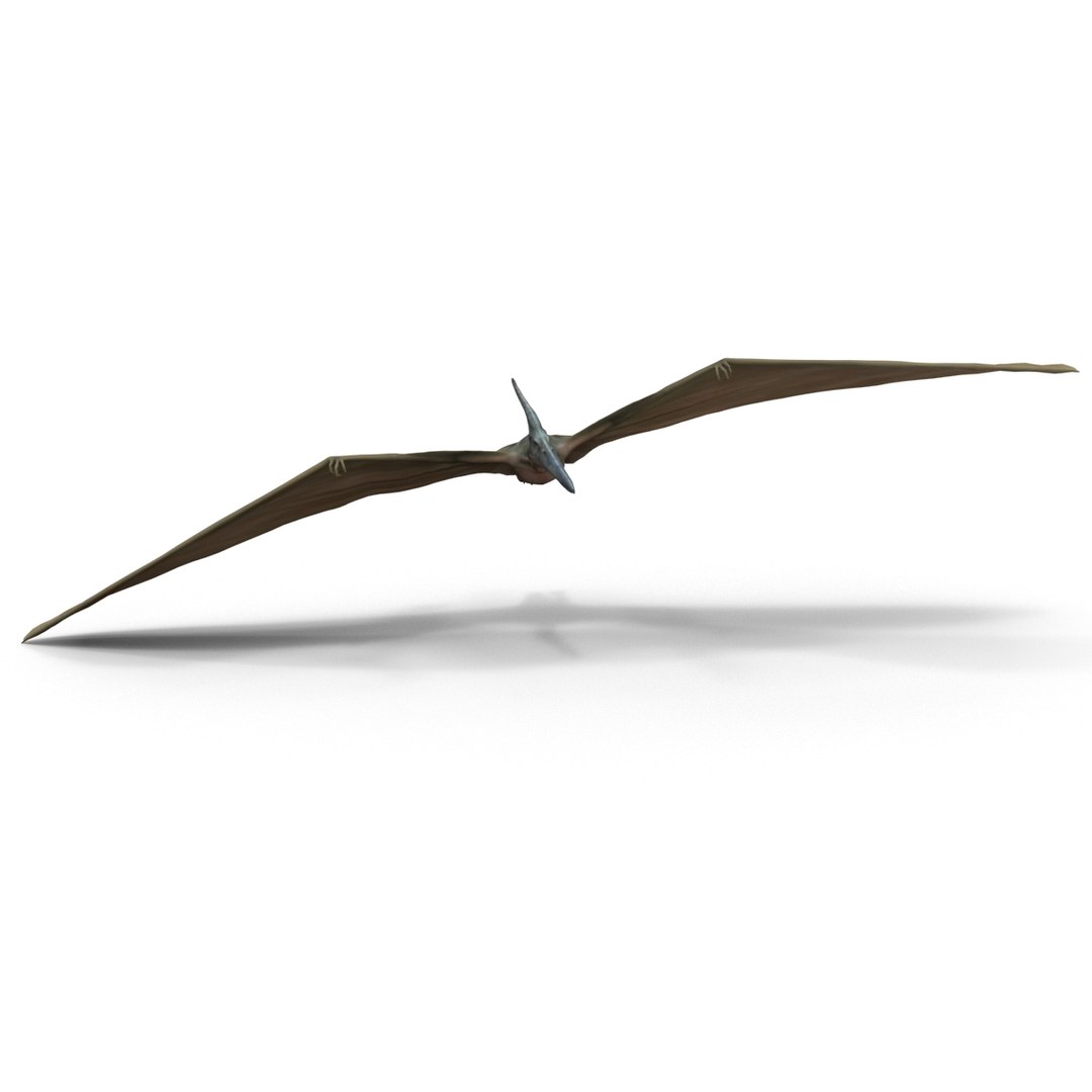 3d 1 model https://p.turbosquid.com/ts-thumb/vE/krpaeX/DRYEYp4n/pterodactylpose1_9/jpg/1405005574/1920x1080/fit_q87/311c9cb16cf213eab20d469def1b6b3d87b28721/pterodactylpose1_9.jpg