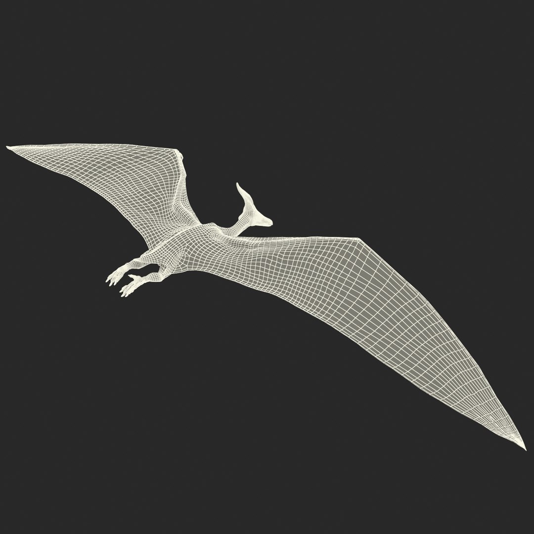3d 1 model https://p.turbosquid.com/ts-thumb/vE/krpaeX/d8DluZnk/pterodactylpose1_23/jpg/1405005643/1920x1080/fit_q87/ee3e66b4dc7b32f027cef97f8f0a31ea1543d3d5/pterodactylpose1_23.jpg
