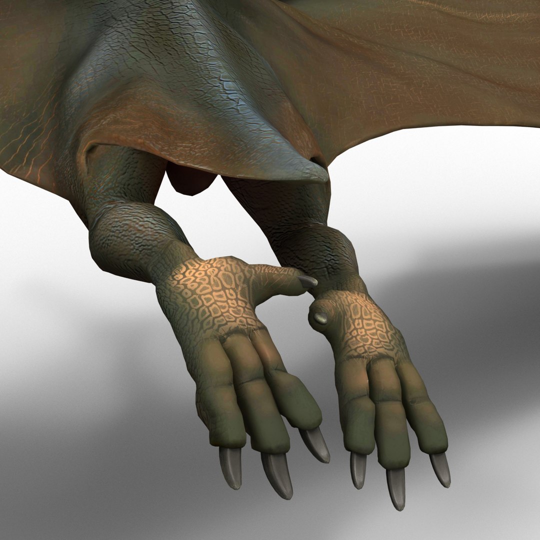 3d 1 model https://p.turbosquid.com/ts-thumb/vE/krpaeX/fDkWDXol/pterodactylpose1_7/jpg/1405005599/1920x1080/fit_q87/3a852f6342497f4b59ea691b947c016fdde196c6/pterodactylpose1_7.jpg