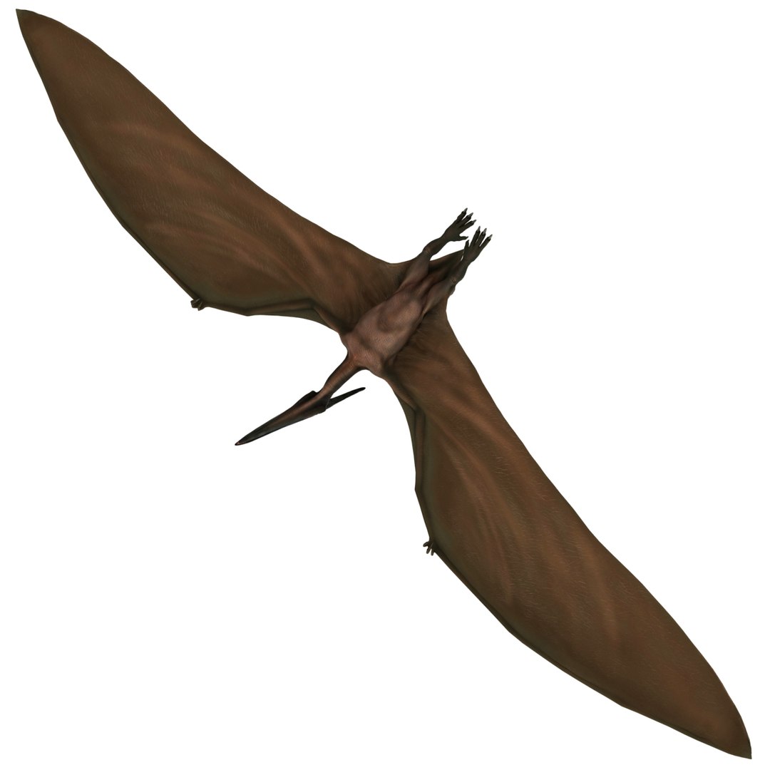 3d 1 model https://p.turbosquid.com/ts-thumb/vE/krpaeX/gaodZUcZ/pterodactylpose1_6/jpg/1405005580/1920x1080/fit_q87/0757d5ed725c258421bb3d2482b7e61170adcfce/pterodactylpose1_6.jpg