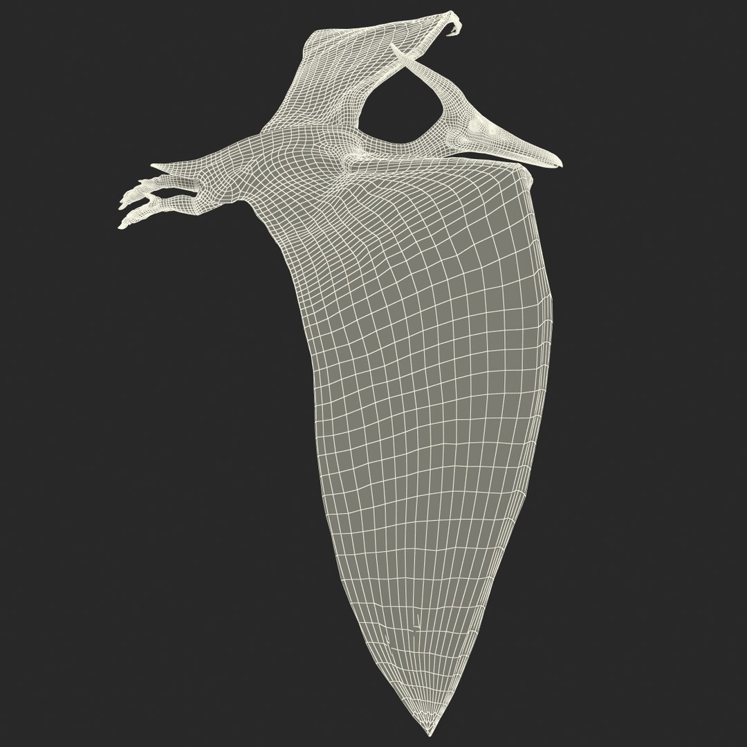 3d 1 model https://p.turbosquid.com/ts-thumb/vE/krpaeX/jkQJWyqM/pterodactylpose1_21/jpg/1405005608/1920x1080/fit_q87/bca0ad02e38443bc2a920c0cc546858dd4257687/pterodactylpose1_21.jpg