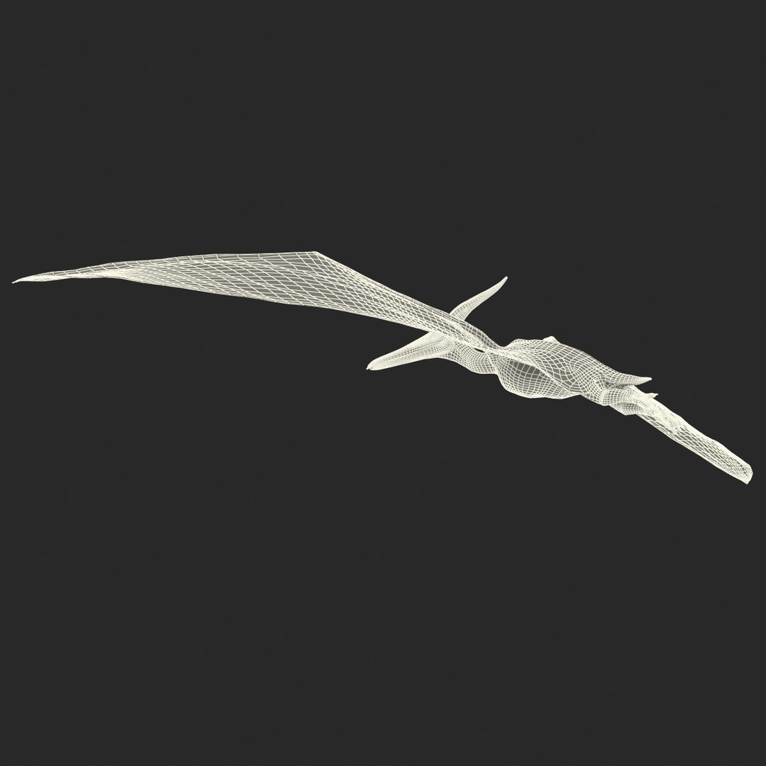 3d 1 model https://p.turbosquid.com/ts-thumb/vE/krpaeX/pSJISeIt/pterodactylpose1_24/jpg/1405005644/1920x1080/fit_q87/385807b79c5088cf880a3931326fb82b8e35b1f9/pterodactylpose1_24.jpg