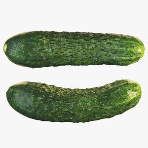 3D 4k Cucumber